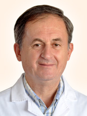 Ceausu Emanoil
Prof. Dr. 