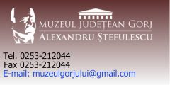 Muzeu judetean gorj